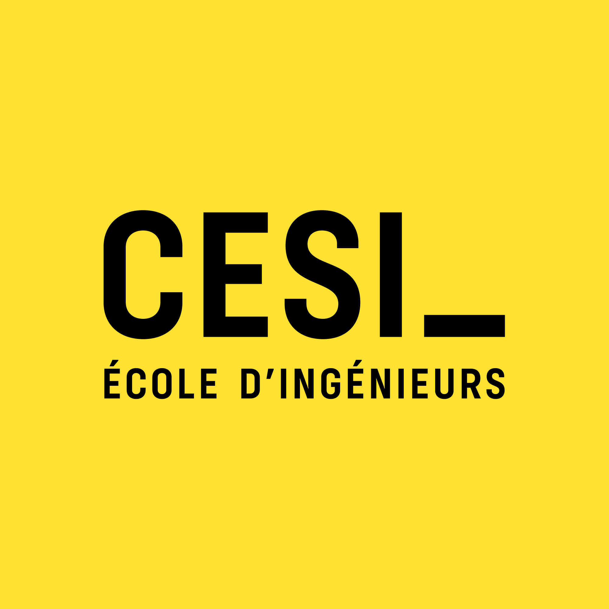 Logo CESI École d'Ingénieurs